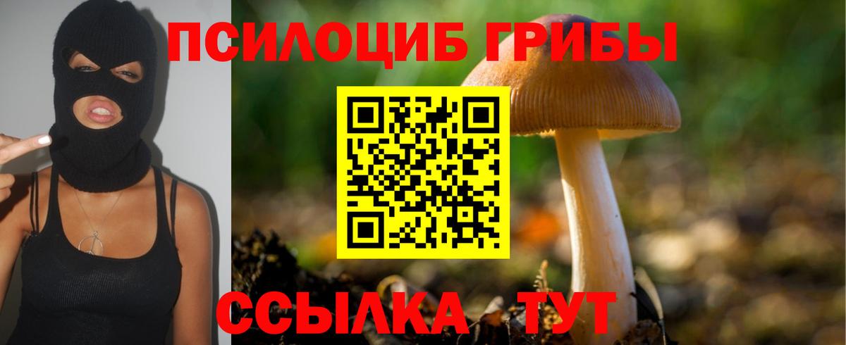 Шатура  Галлюциногенные грибы прущие грибы  Вход с VPN 