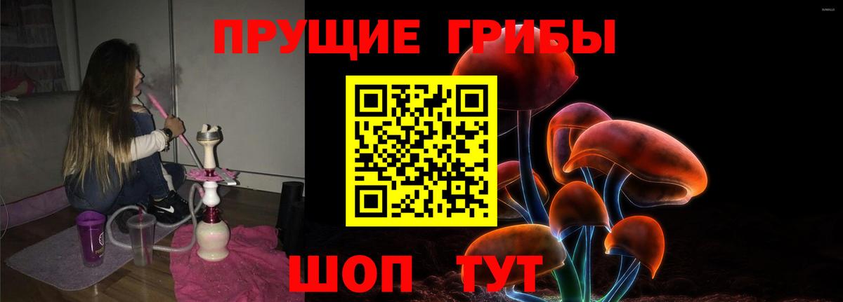 Галлюциногенные грибы Psilocybe Шатура